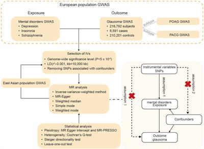Mendelian randomization study shows no causal relationship between psychiatric disorders and glaucoma in European and East Asian populations